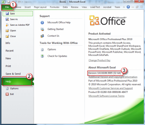 2010 ms office professional plus product key